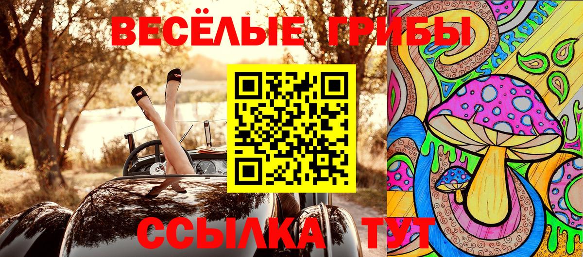 Галлюциногенные грибы GOLDEN TEACHER  Галлюциногенные грибы GOLDEN TEACHER  Вход с VPN  Тейково 