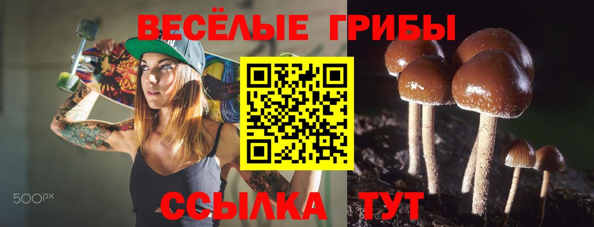 Галлюциногенные грибы мухоморы Тейково
